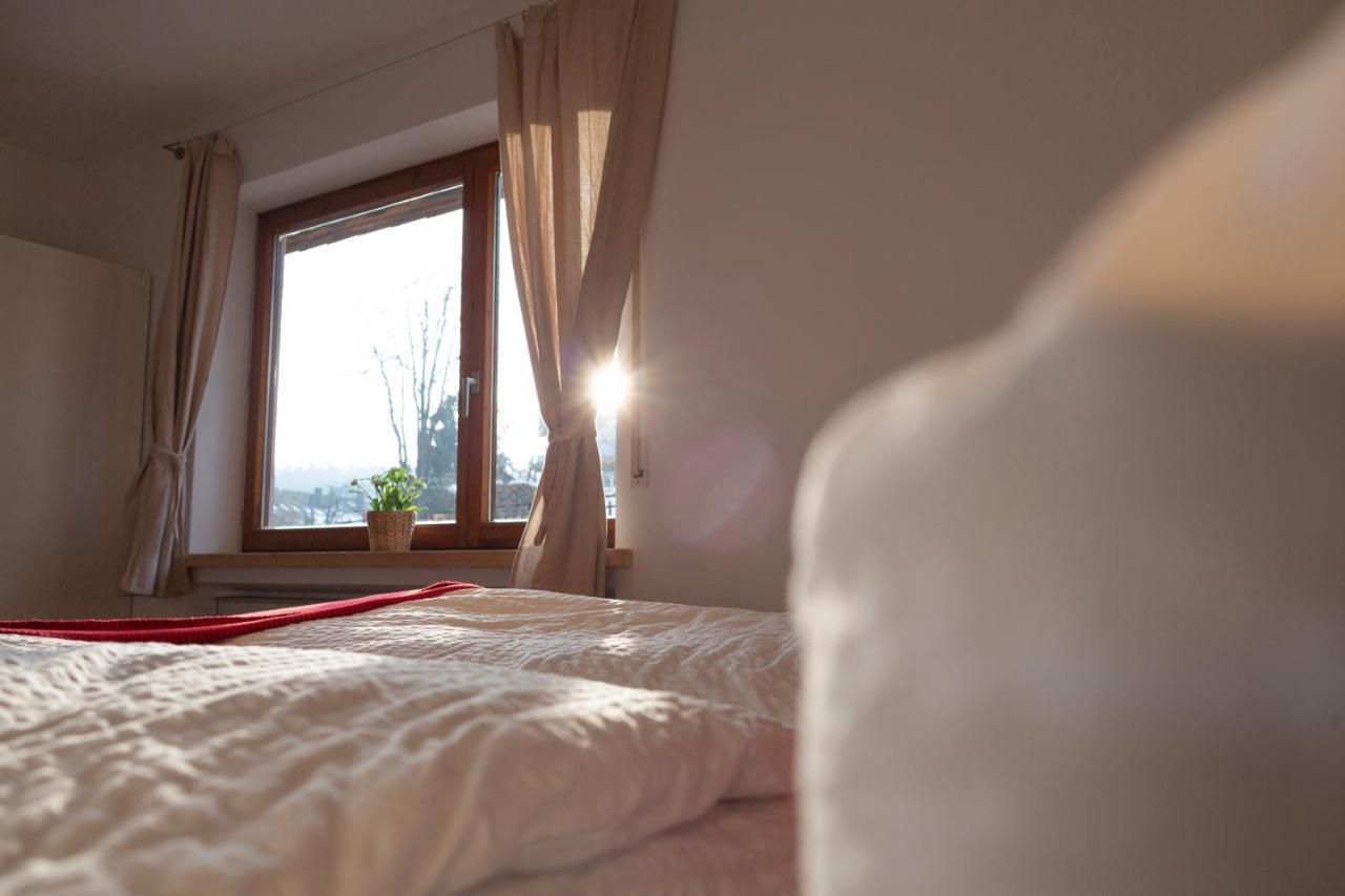 Kuckucksnester Friedenweiler Dış mekan fotoğraf
